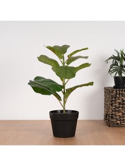 HomeTown - Ilana Fiddle Potted Plant in Multi Colour