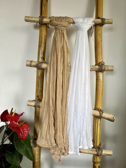 Hella Fashions - Multi-Color Chiffon Solid Dupattas (Pack of 2)