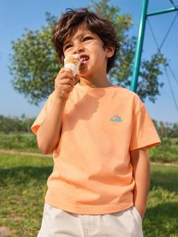 Somersault - Boys orange Half Sleeve Cotton T-Shirt