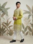 Green color option, Currently selected