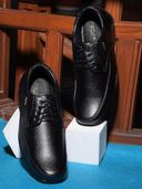 Black color option, Sold out