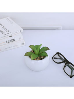 HomeTown - Ceramic Cirque Bonsai, White