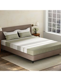 Layers - Multi-Color Geometric Cotton Bedsheet with Pillow Covers (King)