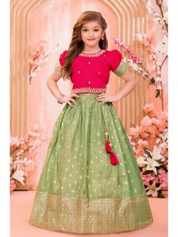 Lagorii - Green Embroidered Lehenga with Choli