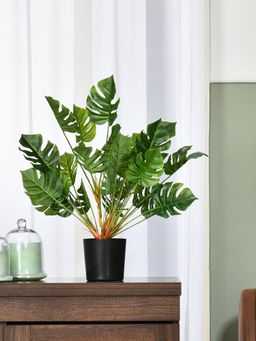 At Home by Nilkamal - Tropicana Turtle Leaf Artificial Potted Plant 50 cm (Green)