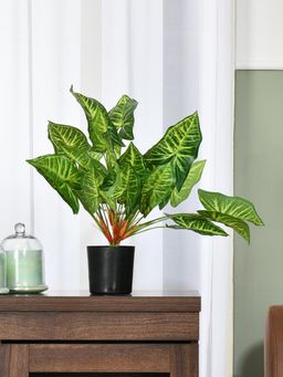 At Home by Nilkamal - Tropicana Caladium Artificial Potted Plant (Green)