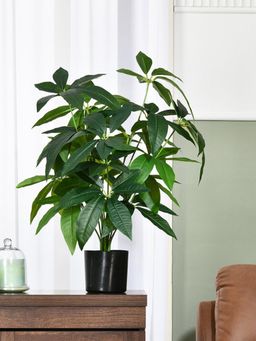 At Home by Nilkamal - Tropicana Guiana Chestnut Artificial Potted Plant (Green)