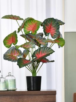 At Home by Nilkamal - Tropicana Fairy Taro Artificial Potted Plant (Green & Red)