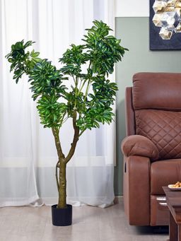 At Home by Nilkamal - Tropicana Artificial Money Tree (Green)
