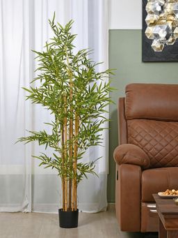 At Home by Nilkamal - Tropicana Artificial Bamboo Tree (Green)