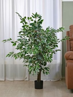 At Home by Nilkamal - Tropicana Artificial Banyan Tree (Green)