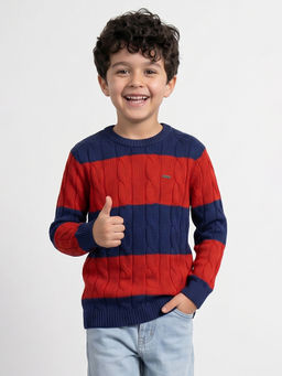 Allen Solly - Boys Multi Colorblock Regular Fit Sweater