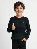 Multi-Color color option, Currently selected