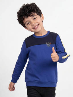 Allen Solly - Boys Blue Color Block Regular Fit Sweatshirt