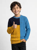 Multi-Color color option, Currently selected