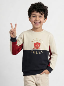Allen Solly - Boys Beige Colorblock Sweatshirt