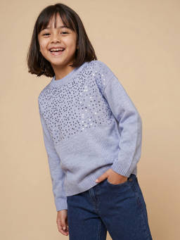 Allen Solly - Girls Light Blue Embellished Sweater