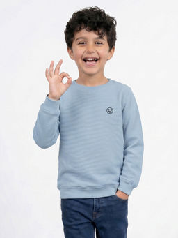 Allen Solly - Blue Cotton Blend Regular Sweatshirt