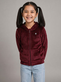 Allen Solly - Maroon Polyester Regular Hoodie
