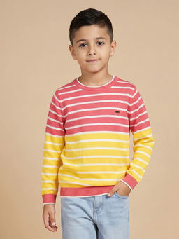 Allen Solly Junior - Boys Multi Stripe Regular Fit Sweatshirt