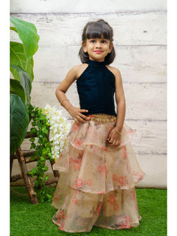 Baby Zi - Teal Velvet Crop Top & Organza Layered Skirt (Set of 2)