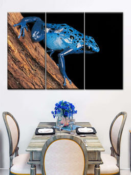 POSTERS AND TRUSS - 3 Pieces Poison Arrow Frog Printed Framed Wall Art