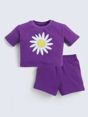 Purple color option, Currently selected