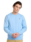 Blue color option, Currently selected