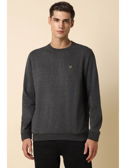 Allen Solly - Men Grey Crew Neck Full Sleeves Casual Sweatshirt