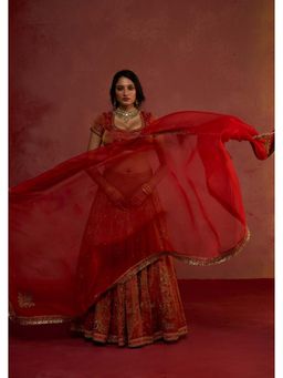 Rhua India - Aanya Gulnaar Lehenga with choli and Dupatta