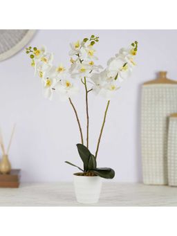 HomeTown - Ilana Artificial Orchid Potted Plant 55 cm In White Colour