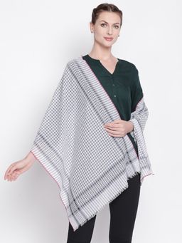 Style Quotient - Women Blue & White Checked Scarf