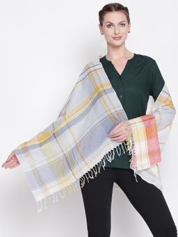 Style Quotient - Women Multi Color Checked Scarf