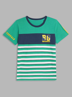 Blue Giraffe - Boys Multi Striped T-shirt