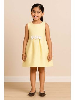 Miyo - Textured Fit & Flare Dress