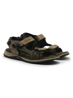 WOODLAND - Men Olive Green Casual Sandals