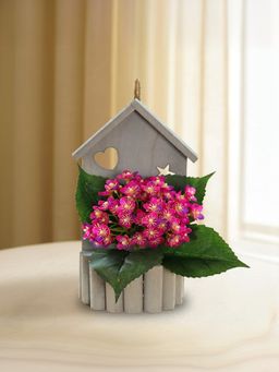 Ekhasa - Pink Spring Flower Vase Pot with Artificial Flowers