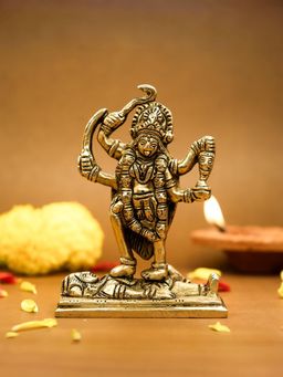 Ekhasa - 100% Pure Brass MATA Rani Murti