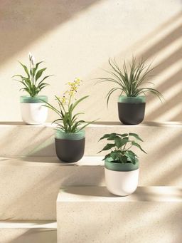 Ekhasa - Self Watering Plants Pots (Set of 4) (No Plants Included with Purchase)