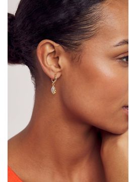 hoop earrings ted baker