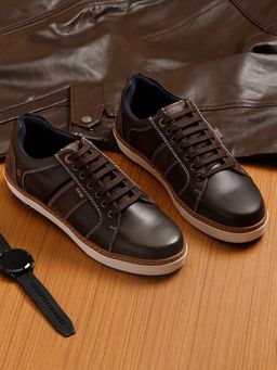 EZOK - 2401 Men Dark Brown Sneakers