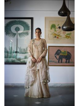Vashisht Guru Dutt - Beige Aaina Short Anarkali with Sharara and Dupatta (Set of 3)