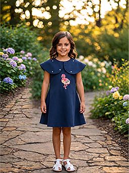 CHUCKLES AND CUDDLES - Girls Flamingo Embroidered A-Line Dress