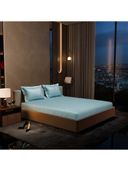 Blue color option, Currently selected