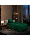 Green color option, Currently selected