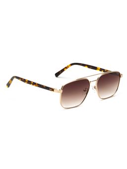 IRUS - Uv Protected Sunglasses for Men with Brown Coloured Gradient Polycarbonate Lens (55)