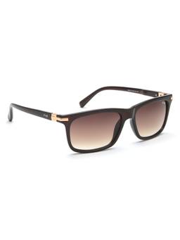 IRUS - Uv Protected Sunglasses for Men with Brown Coloured Gradient Polycarbonate Lens (56)