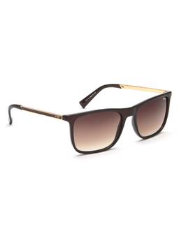 IRUS - Uv Protected Sunglasses for Men with Brown Coloured Gradient Polycarbonate Lens (56)