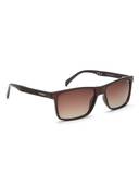 Brown color option, Sold out