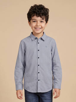 Allen Solly - Blue Cotton Regular Shirt